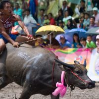 Thailand event round-up: October 2018